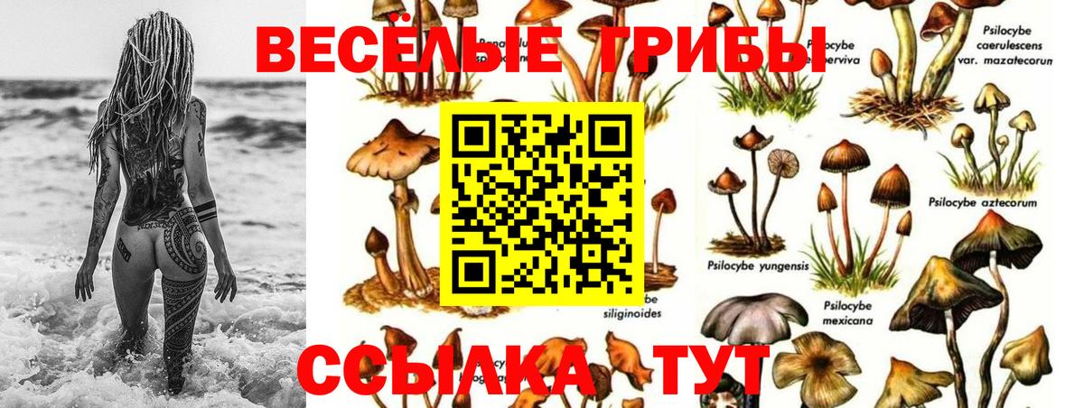 Белгород  Псилоцибиновые грибы мицелий  Псилоцибиновые грибы мухоморы  Вход с VPN 