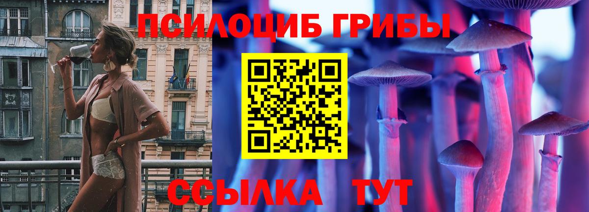 Галлюциногенные грибы мицелий Белгород